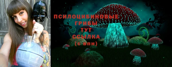 мет Верхний Тагил