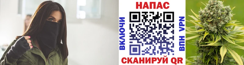 мориарти как зайти Сатка Бошки марихуана Amnesia